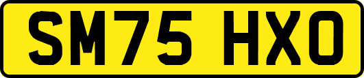 SM75HXO