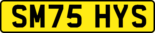 SM75HYS