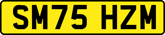 SM75HZM