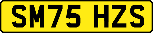 SM75HZS