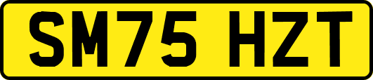 SM75HZT