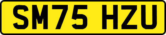 SM75HZU