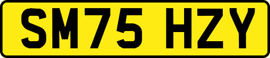 SM75HZY