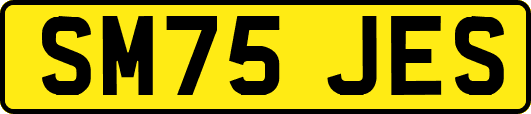 SM75JES