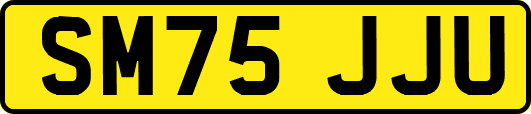 SM75JJU