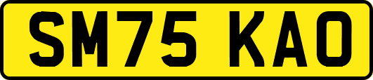 SM75KAO