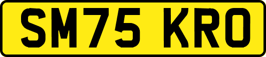 SM75KRO