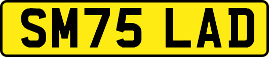 SM75LAD
