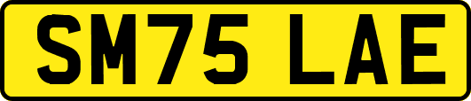 SM75LAE