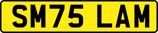 SM75LAM