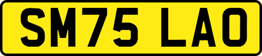 SM75LAO