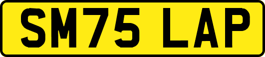 SM75LAP