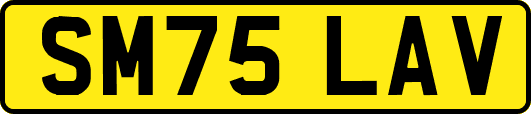 SM75LAV