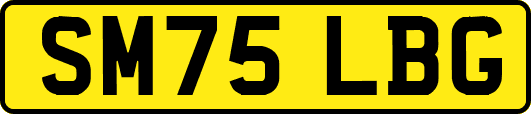 SM75LBG