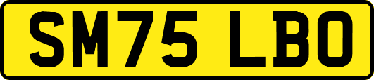 SM75LBO