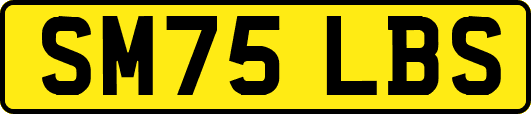 SM75LBS