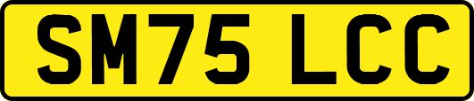 SM75LCC