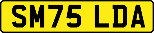 SM75LDA