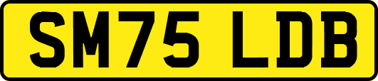 SM75LDB