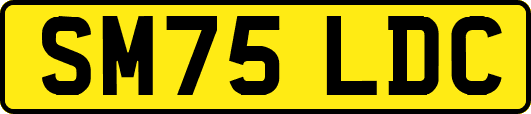 SM75LDC