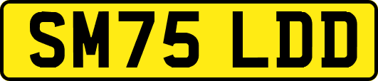 SM75LDD