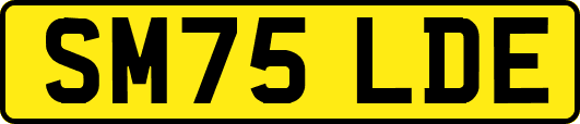 SM75LDE