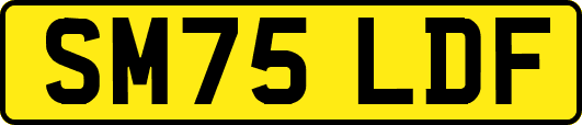 SM75LDF