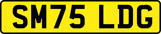 SM75LDG