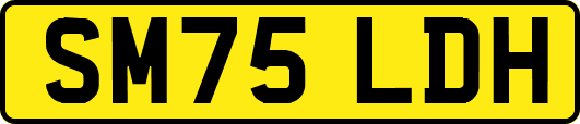 SM75LDH