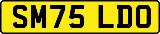 SM75LDO