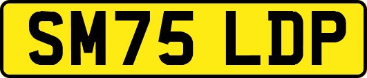 SM75LDP