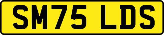 SM75LDS