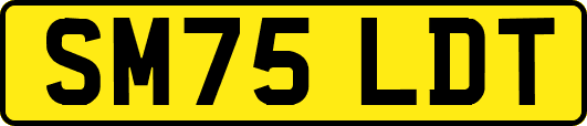 SM75LDT