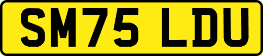 SM75LDU