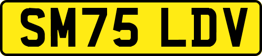 SM75LDV