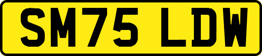 SM75LDW