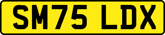 SM75LDX