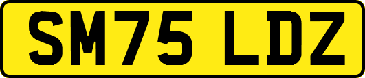 SM75LDZ