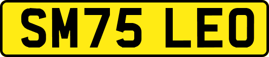 SM75LEO
