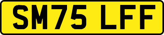 SM75LFF
