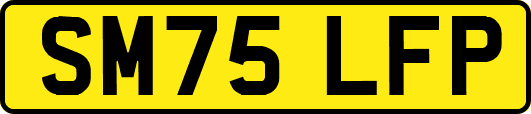 SM75LFP
