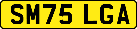 SM75LGA