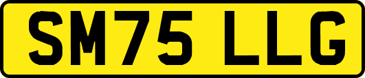 SM75LLG