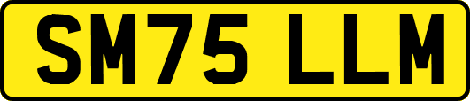 SM75LLM