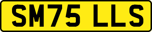 SM75LLS