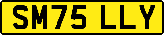 SM75LLY