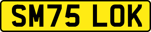 SM75LOK