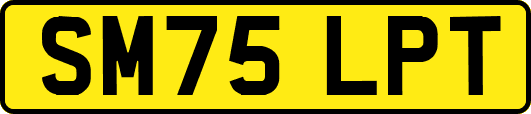 SM75LPT