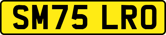 SM75LRO