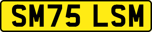 SM75LSM